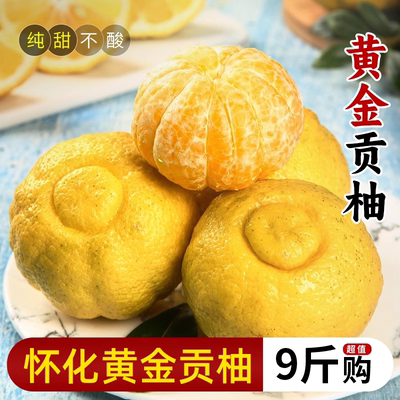 怀化黄金贡柚力荐9斤包邮
