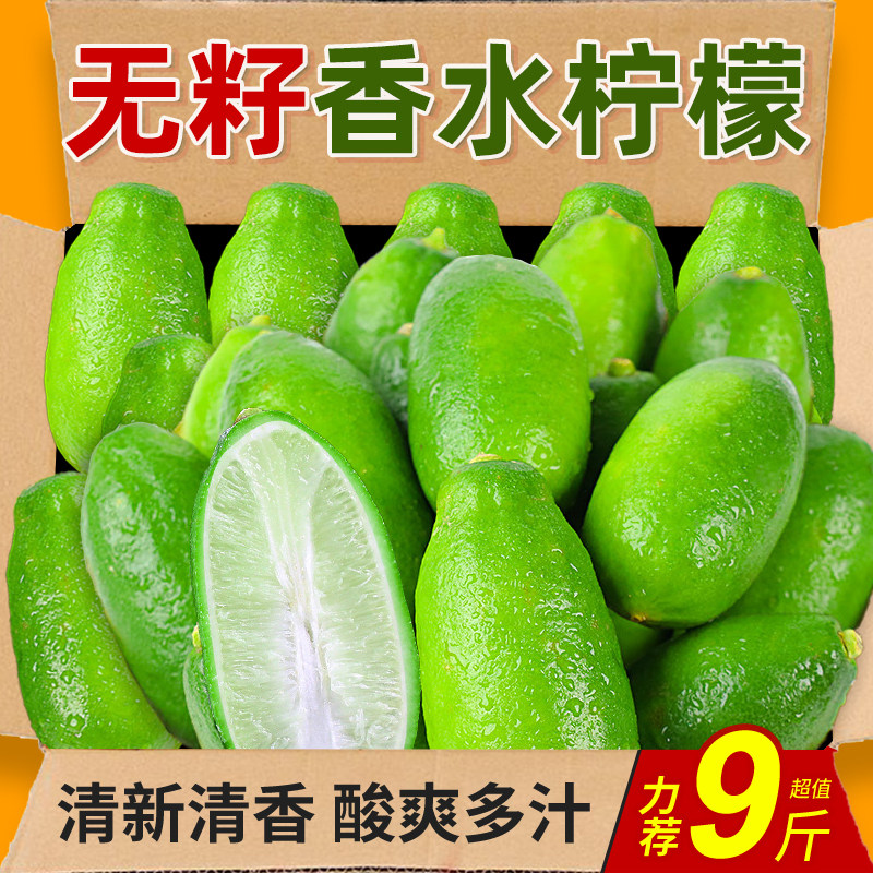 海南香水柠檬应季新鲜子弹头广东无籽青柠檬奶茶店专用大果整箱