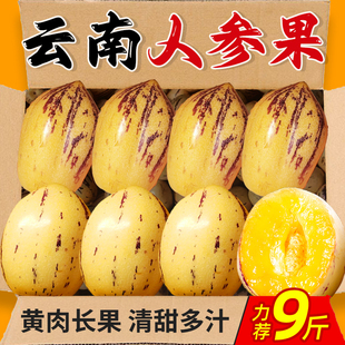 云南石林人参果10斤新鲜大果应季整箱人叁果水果七彩黄肉长果包邮