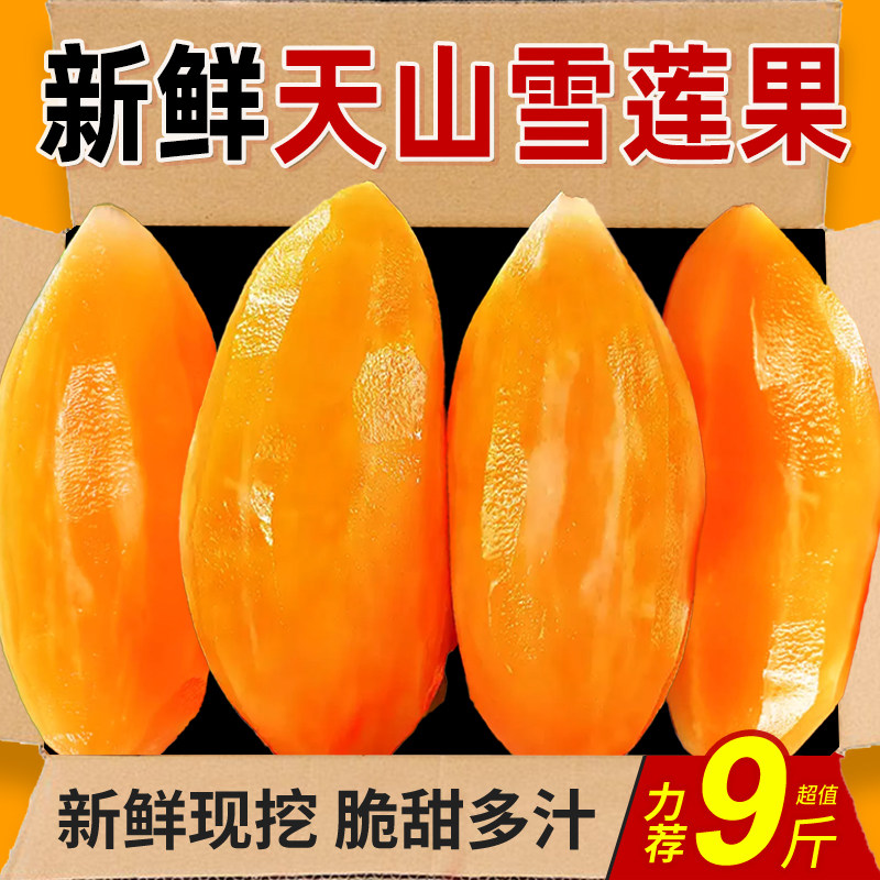 天山雪莲果12斤新鲜水果应当季云南孕妇红心雪连果黄心特整箱包邮