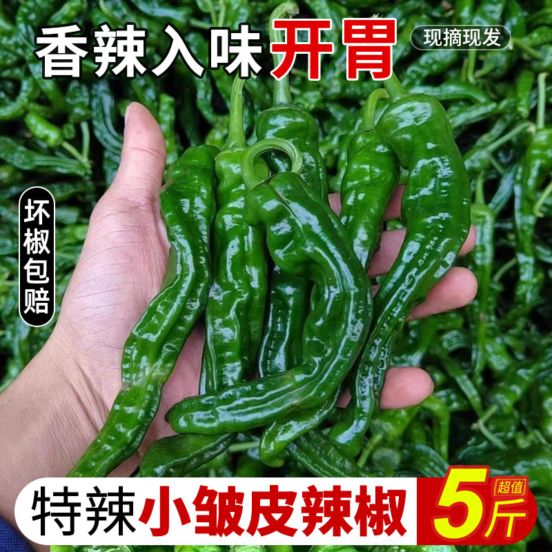 新鲜现摘青辣椒超特辣小皱皮