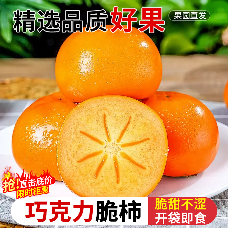 巧克力脆柿子力荐9斤包邮