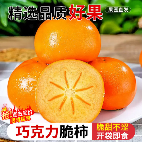 巧克力脆柿子力荐9斤包邮