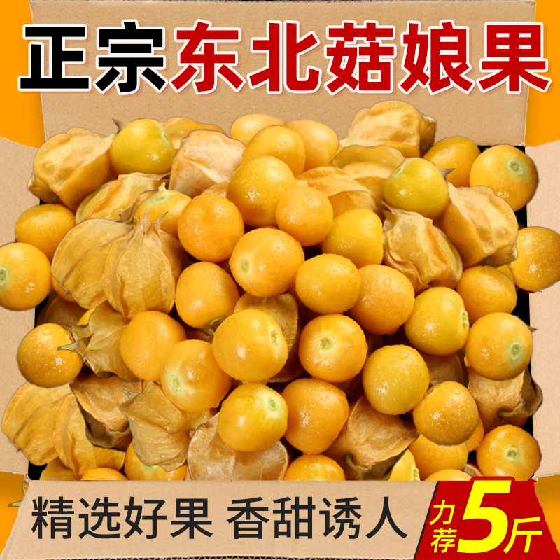 東北姑娘果東北特產(chǎn)燈籠果