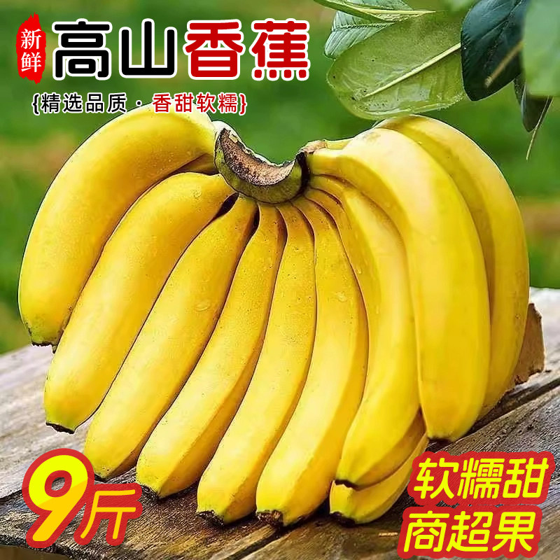 云南高山香蕉当季新鲜薄皮青蕉