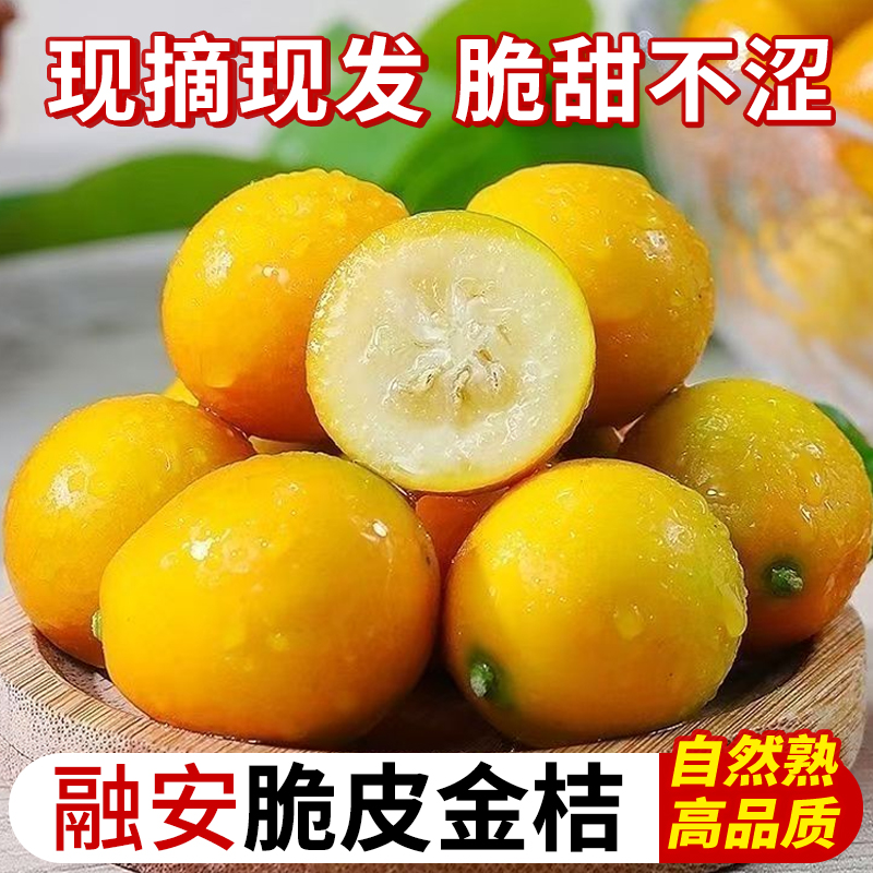 融安脆皮金桔10斤广西小橘子