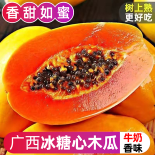 红心牛奶木瓜新鲜木瓜水果当季树上自然熟冰糖心青皮木瓜现摘整箱