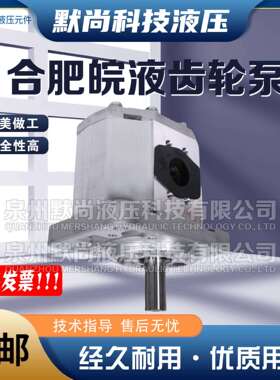 合肥皖液齿轮泵CBN-F520/525/532/540/550/563-BF 铝合金液压油泵