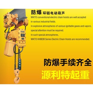 2T3吨5吨4米6米9M 单链1T 跑车鬼头式 防爆链条环链电动葫芦运行式