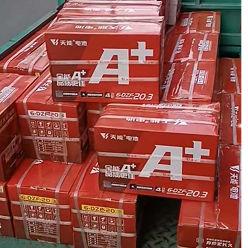 6-DZM-20三轮车电瓶 12V系列6-DZF-20 12V20AH_天能蓄电池 沈阳