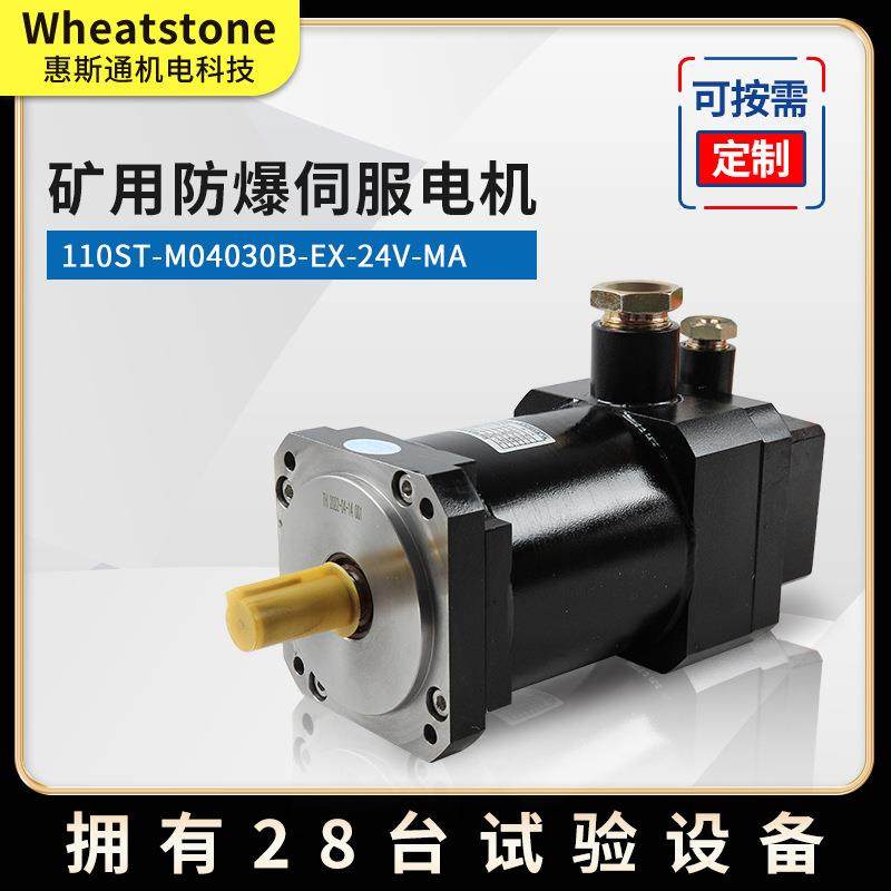 煤安防爆直流伺服电机110系列 1.2KW国产防爆直流伺服电机24V,鲜花速递/花卉仿真/绿植园艺,割草机/草坪机,淘宝优惠券,粉丝福利购,淘宝优惠卷