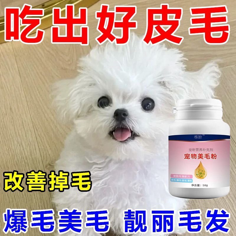 比熊美毛亮毛增色白毛宠物毛发增亮狗狗毛发营养美毛亮比熊掉毛少