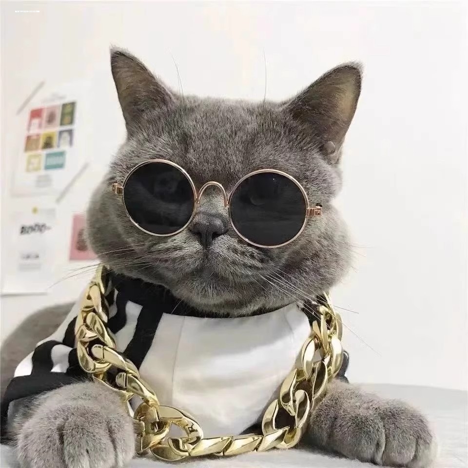 猫咪薄款眼镜拍照可爱帅气猫咪红狗狗个性网红猫咪