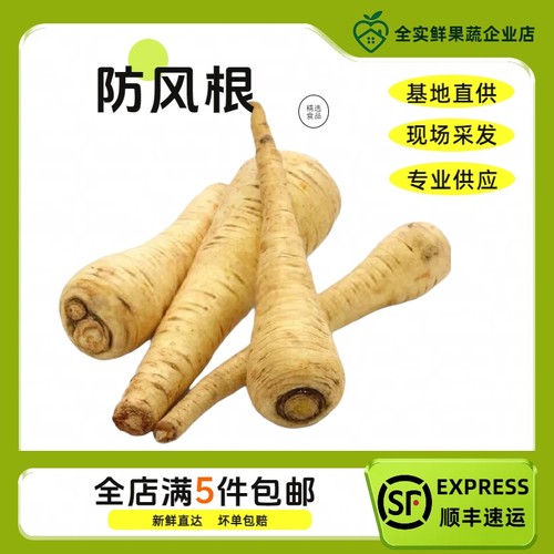 新鲜欧洲防风根parsnip蒲芹菜萝卜500g法国西餐烘焙食用烤欧独活