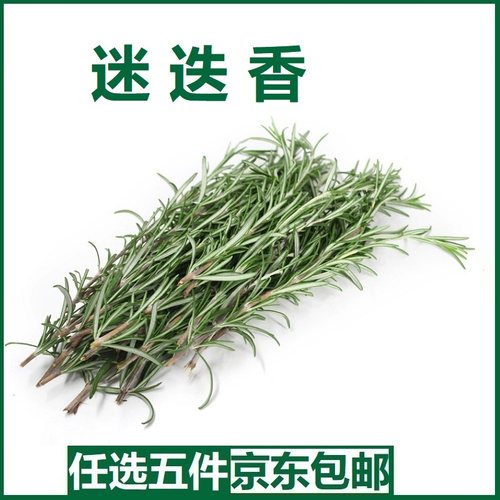 迷迭香新鲜食用马丽草香料菜西餐牛排烧烤法餐烘焙调料调味