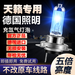 适用04-16-18-19-20款日产天籁改装聚光白光灯泡氙气灯远近光雾灯