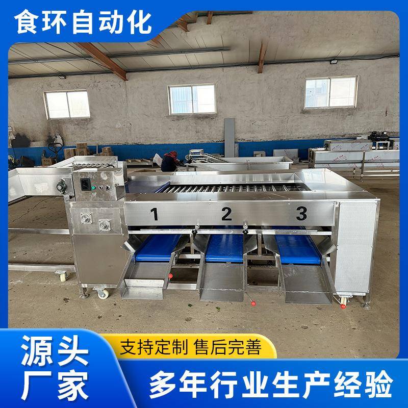 果蔬天麻重量分选机商用滚杠式橙子分级机全自动土豆荔枝分级机