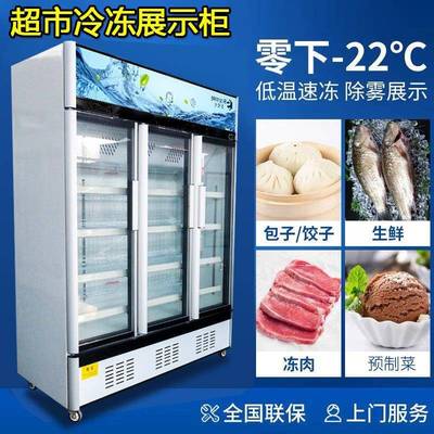 风冷冻展示柜立式速冻榴莲冷冻冰柜冷冻食材牛肉排预制菜无霜冷柜