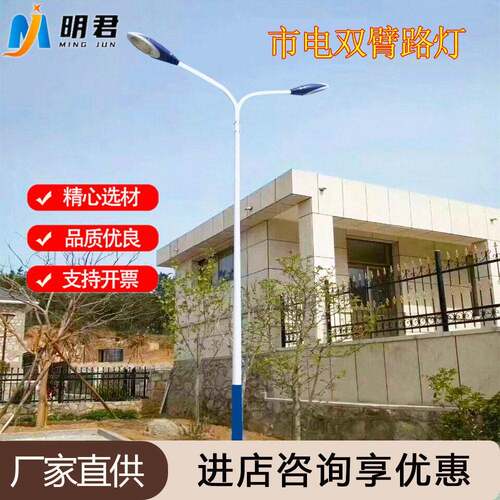 双臂市电路灯市政工程指定路灯品质厂家现货5-12米LED路灯