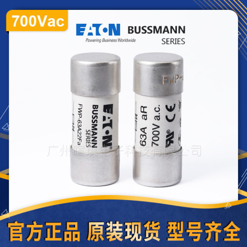 BUSSMANN巴斯曼熔断器