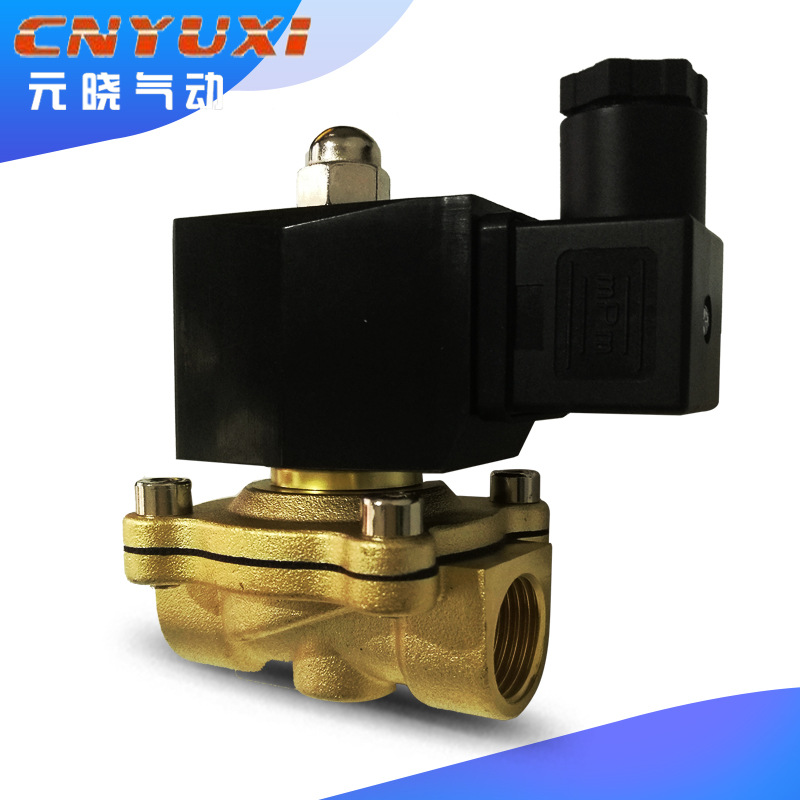 户外防水IP65电磁阀 2W-160-15D 2W-200-20D水阀4分 6分 1寸220V