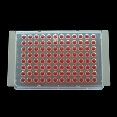 extreme seal增大款封板膜 巴罗克61-0041  强丙烯酸粘合剂层