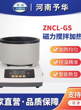智能定时磁力搅拌加热锅ZNCL-GS河南予华厂家直销