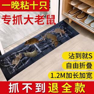 超强超大号家用捕鼠胶加厚魔毯蟑螂贴捕鼠 大老鼠贴强力粘鼠板冬季