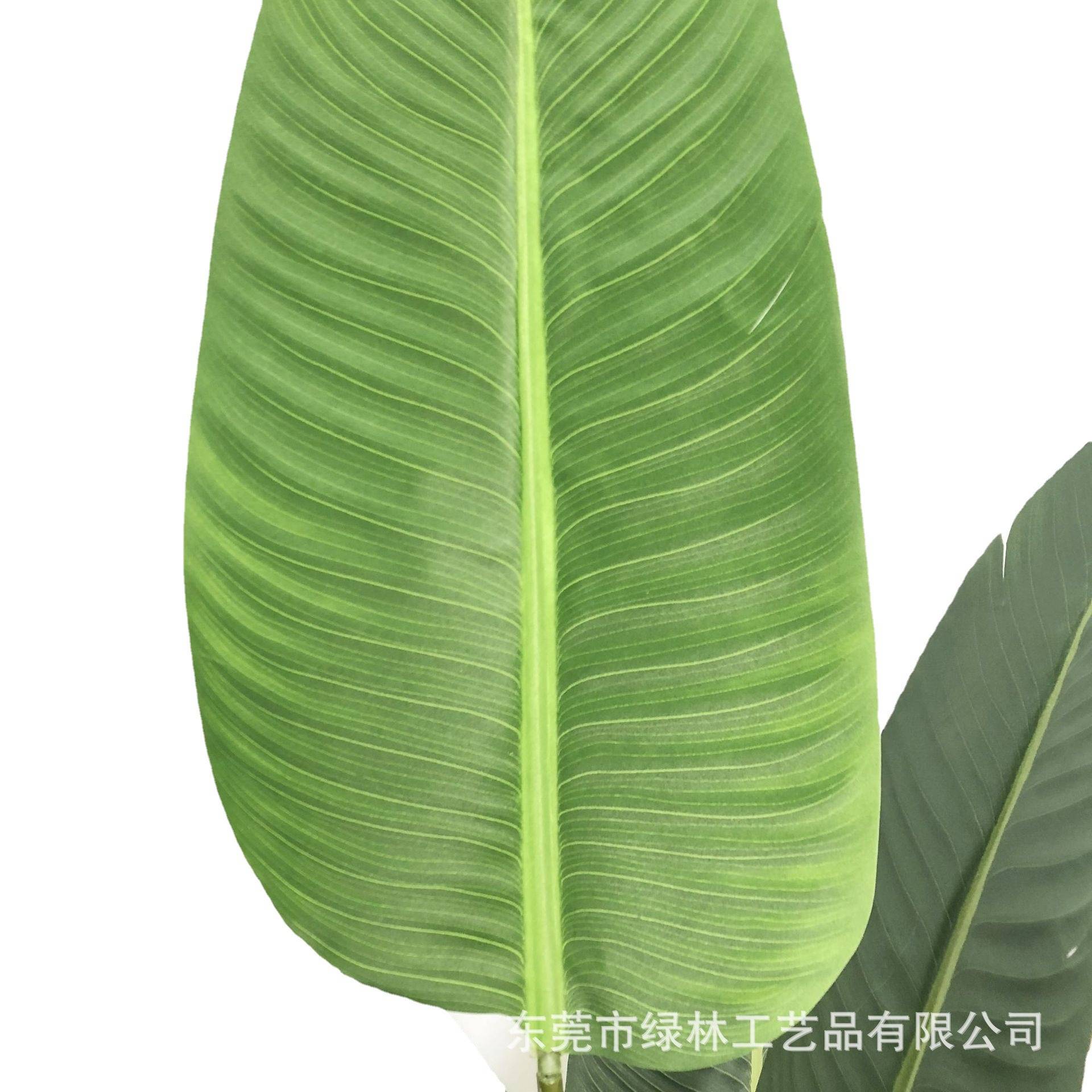 仿真旅人蕉室内外景观装饰人造芭蕉树各种仿真中小树假绿植