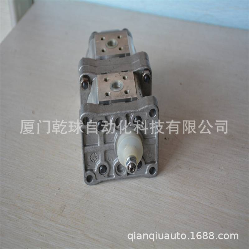 乾球RONZIO罗茨02ZAG06E034AD＋02ZAG060034PD 齿轮油泵