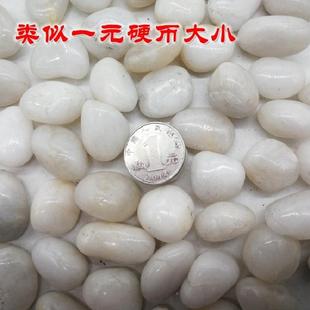 原石厂地白色抛光黑鹅卵石花石铺路石头五彩624色装雨饰造景石头