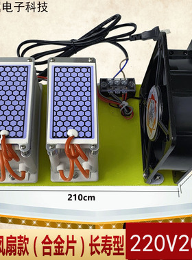 220V20g 臭氧发生器家用款小型风扇款车载配件空气净化除甲醛异味