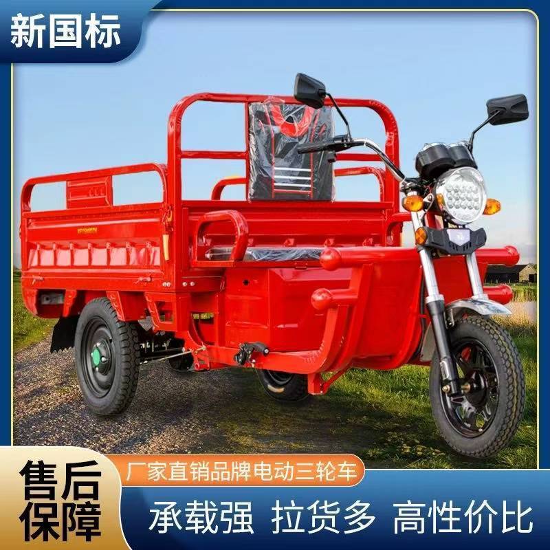 电动三轮车货车成人货运