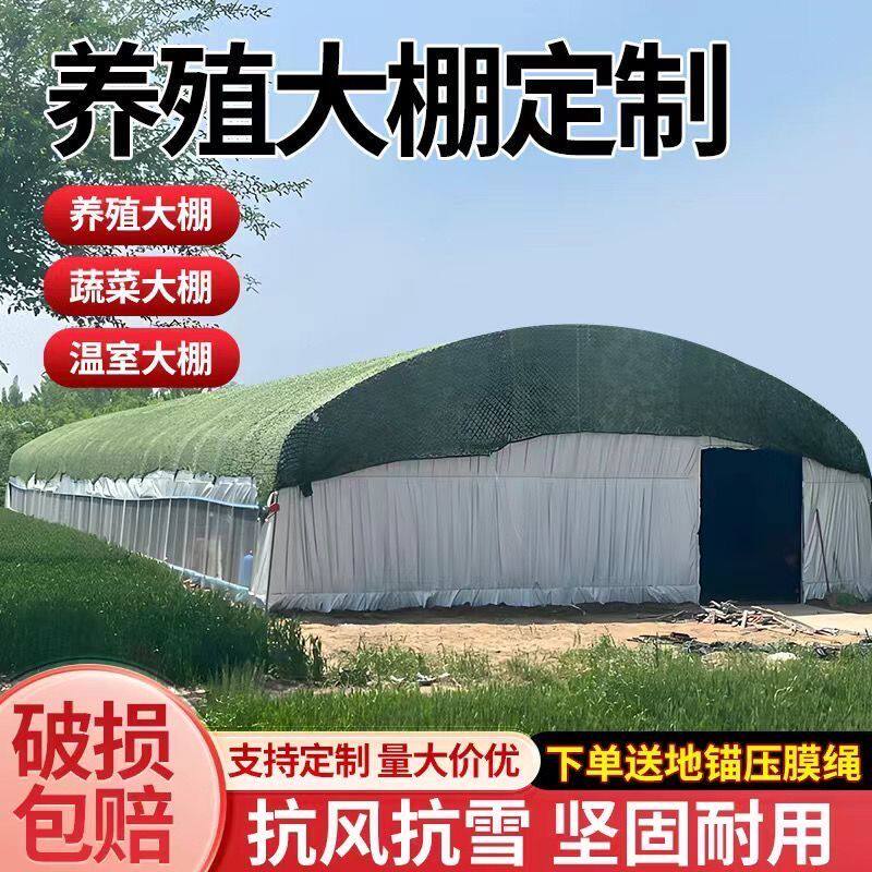 种植大棚养殖全套鸡猪棚