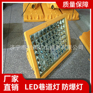 127L 防爆巷道灯防雨防尘投光灯 DGS38 矿用隔爆型LED照明灯