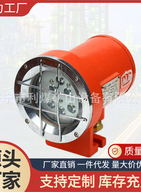 DGY12/55L(A)矿用隔爆型LED机车灯 机车照明灯