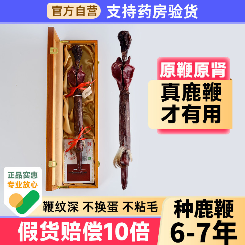 梅花鹿鹿鞭干整根正品吉林正宗人参鞭片泡酒专用养生鹿茸血鹿鞭酒