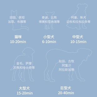 春舟宠物吹水机狗狗吹风大功率静音大J小型犬狗猫吹毛金毛泰迪