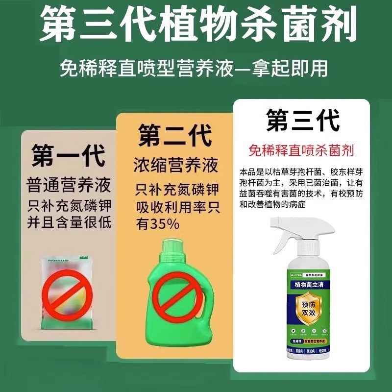 栀子花黄叶掉苞炭疽病虫害药不开花栀子R花促生根肥营养液