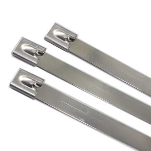 船用304不锈钢G型扎带10 600mm电H缆标牌捆绑固定束线锁紧卡扣包