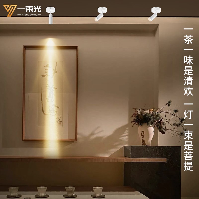 一束光聚光射灯明装人体感应客厅A茶室入户玄关过道走廊楼梯吸顶
