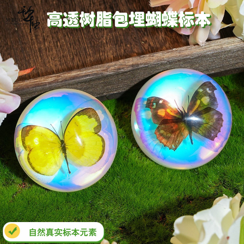 千年虫半球炫彩真实蝴蝶装饰用品桌面家居摆件滴胶树脂工艺品