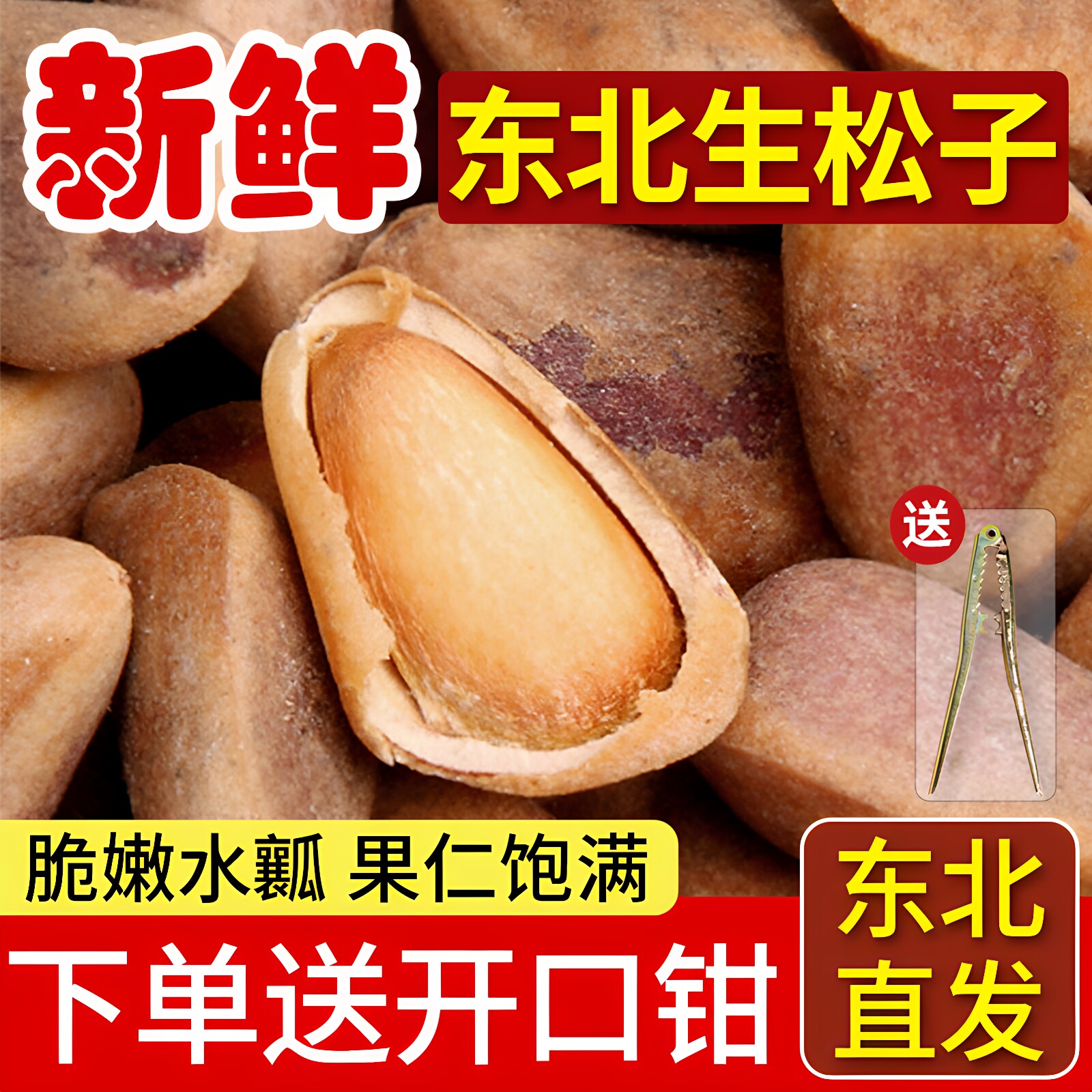 东北特产红松子原味未加工