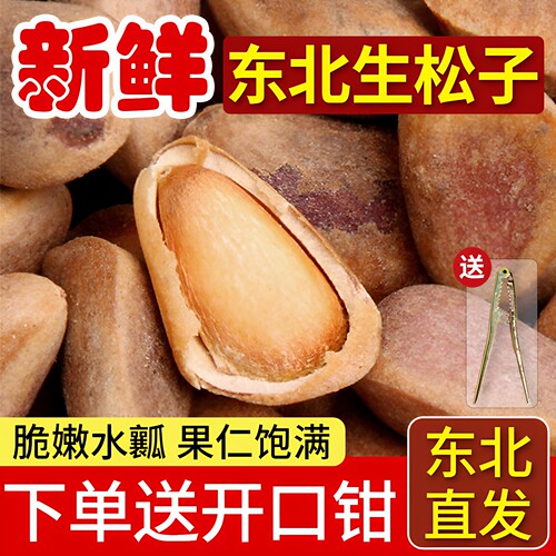 东北特产红松子原味未加工