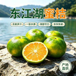 正宗湖南东江湖蜜桔郴州资兴清江蜜橘现摘现发新鲜水果产地直发