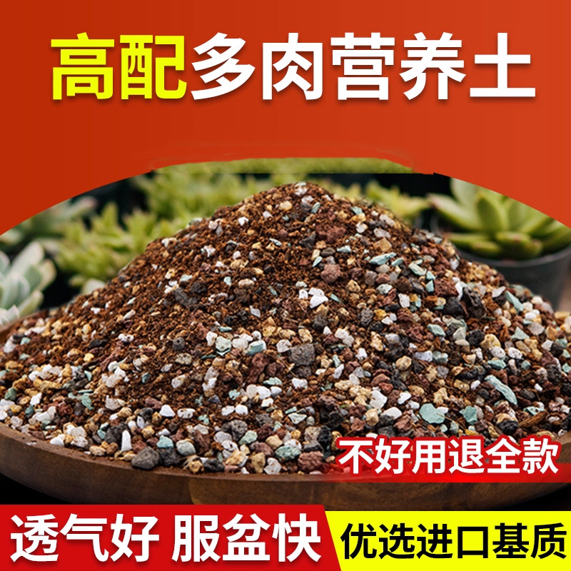 多肉颗粒土养花专用营养土植物通用泥炭种植土壤肉肉叶老桩花土