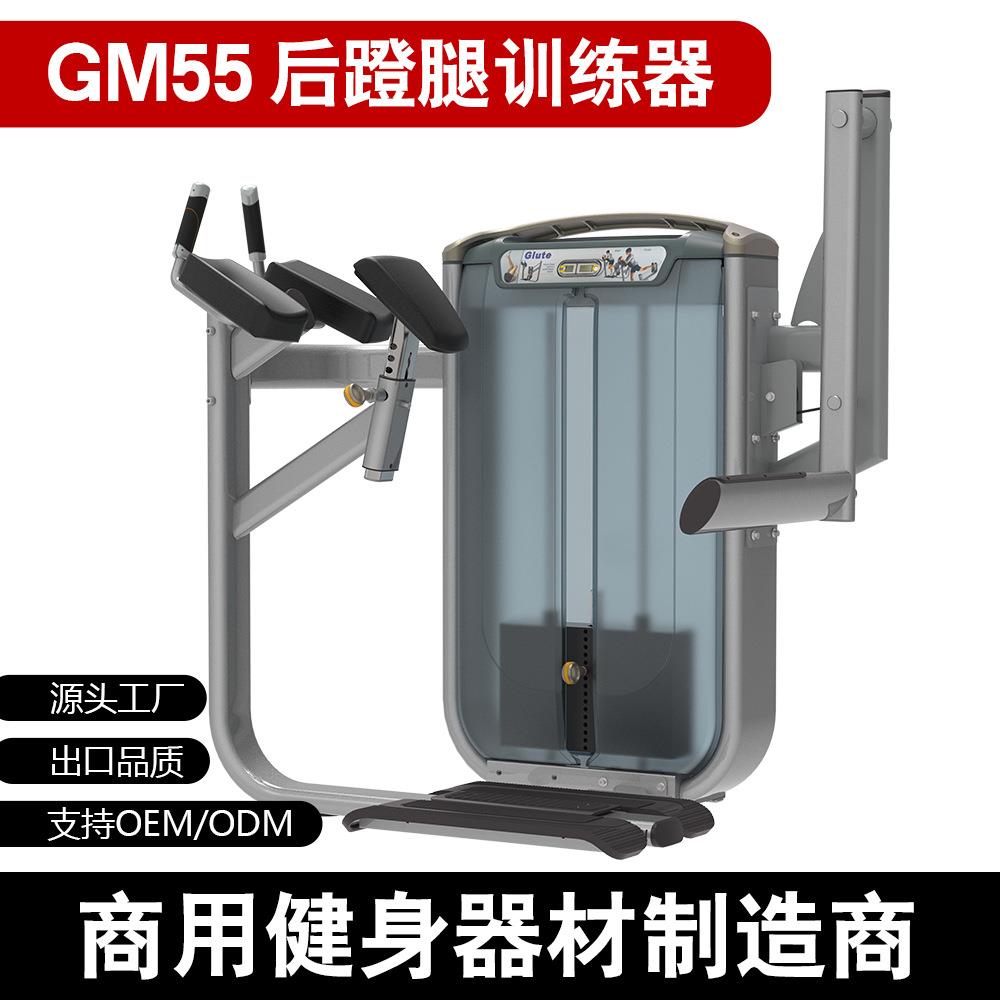 新款商用健身器材厂家室内健身房后蹬腿练臀全套力量器械