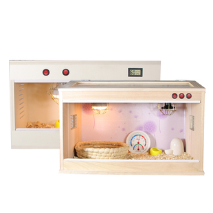 虎皮玄凤鹦鹉保温箱雏鸟幼鸟牡丹鸟笼恒温鸽O子鸡宠物手养鸟饲养