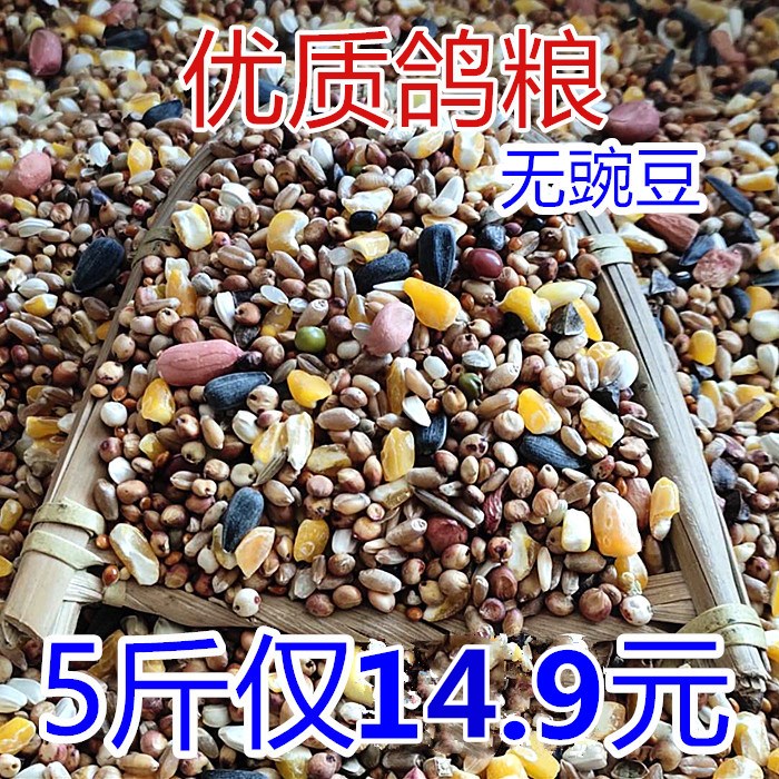 5斤优质鸽粮无豌豆m幼鸽子粮鸟食赛飞营养饲料信鸽肉鸽观赏鸽仓鼠