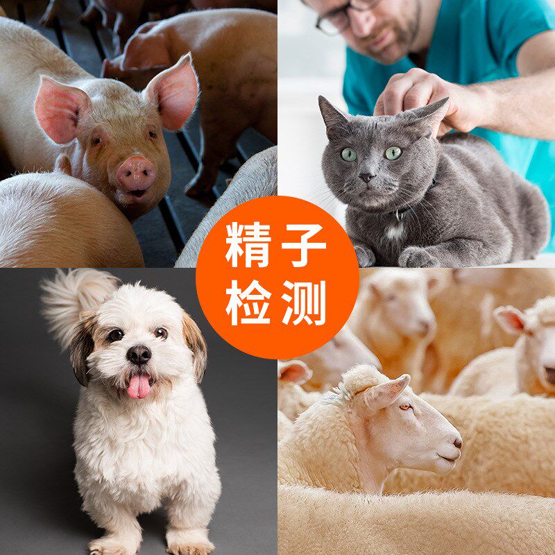 专业水产养殖恒温显微镜畜牧精子排卵学生实验美容螨X虫一滴血检